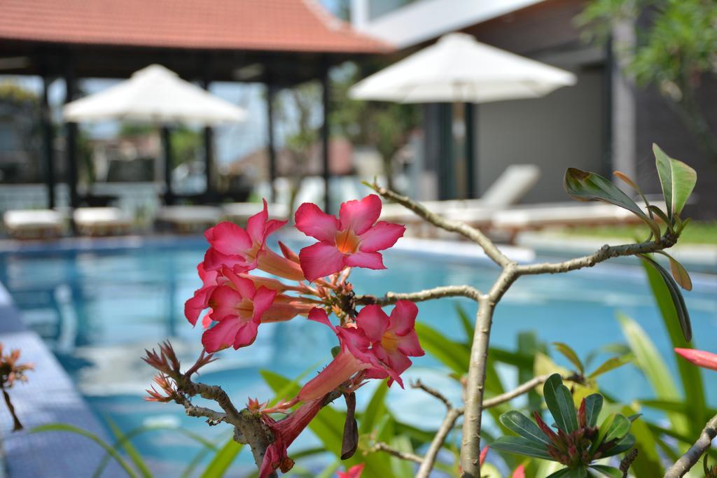 Aquarium Villa Hoi An Eksteriør billede